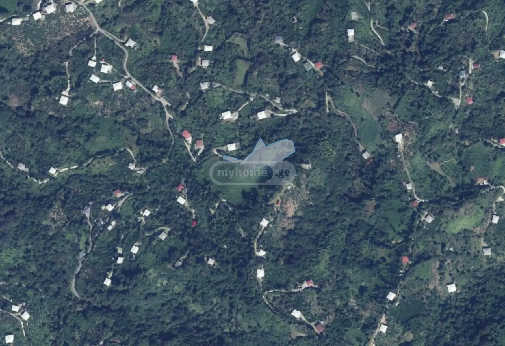 Agricultural Plot For Sale In Kobuleti view 5