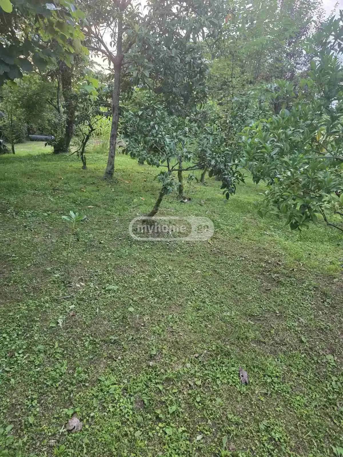 Agricultural Plot For Sale In Batumi view 1