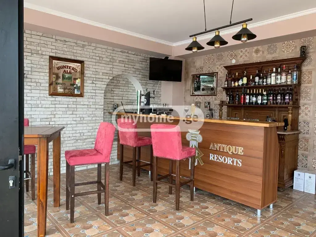 10+ Room Hotel For Rent In Vedzisi view 11