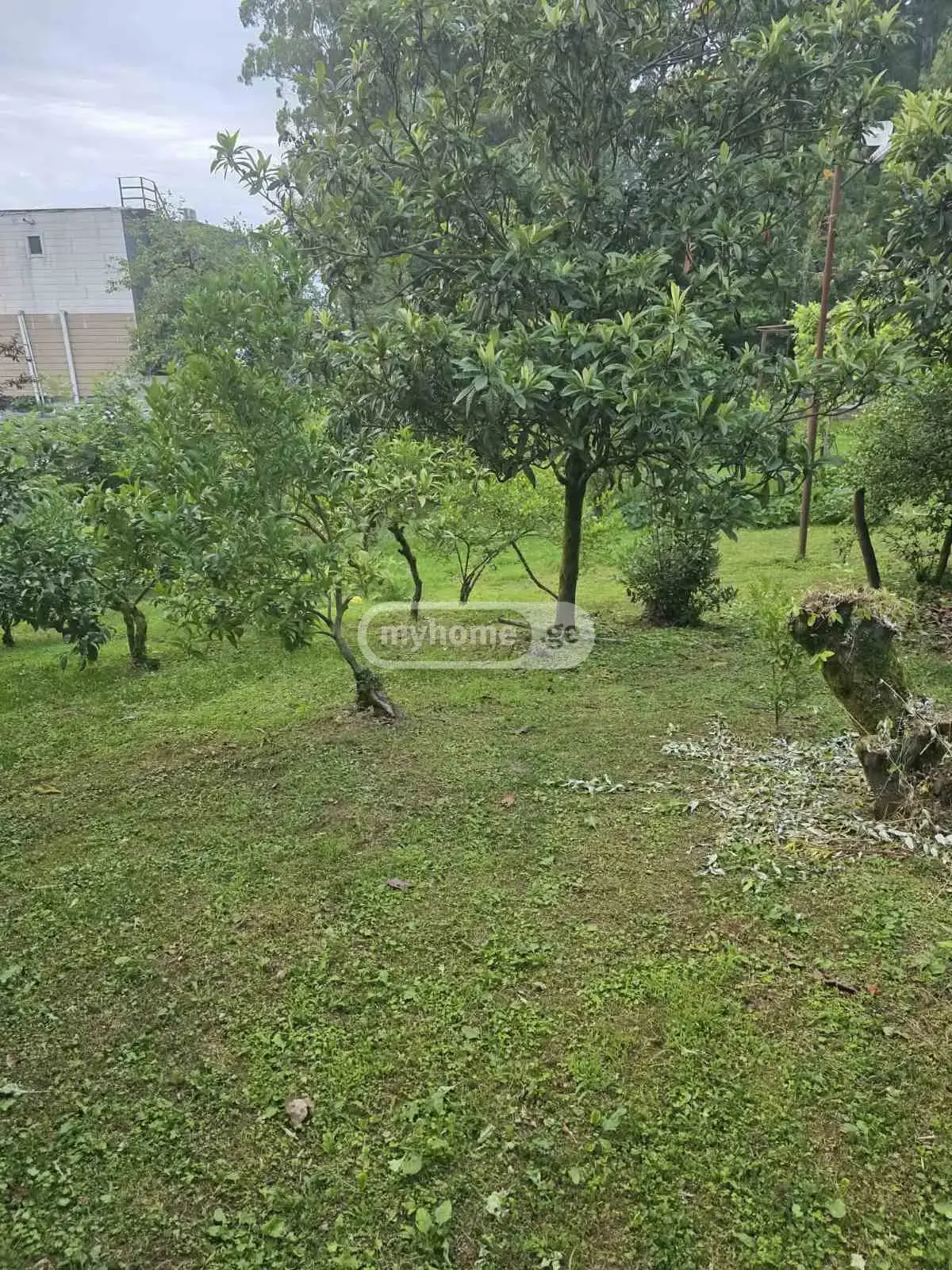 Agricultural Plot For Sale In Batumi view 2