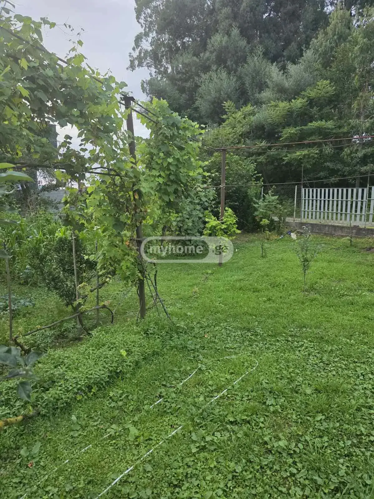 Agricultural Plot For Sale In Batumi view 6