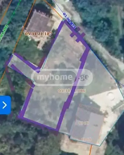 Agricultural Plot For Sale In Batumi view 4