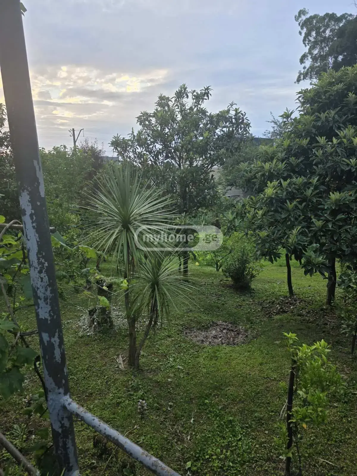 Agricultural Plot For Sale In Batumi view 5