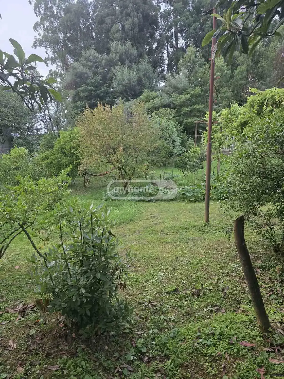 Agricultural Plot For Sale In Batumi view 7