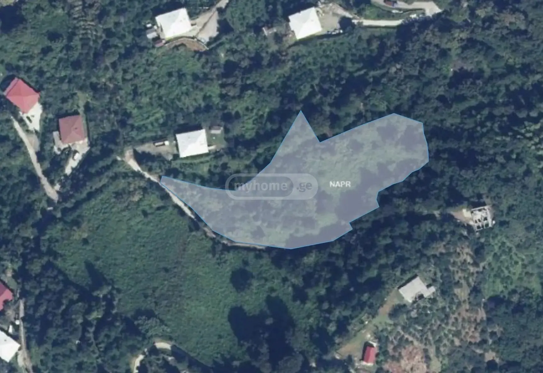 Agricultural Plot For Sale In Kobuleti view 4