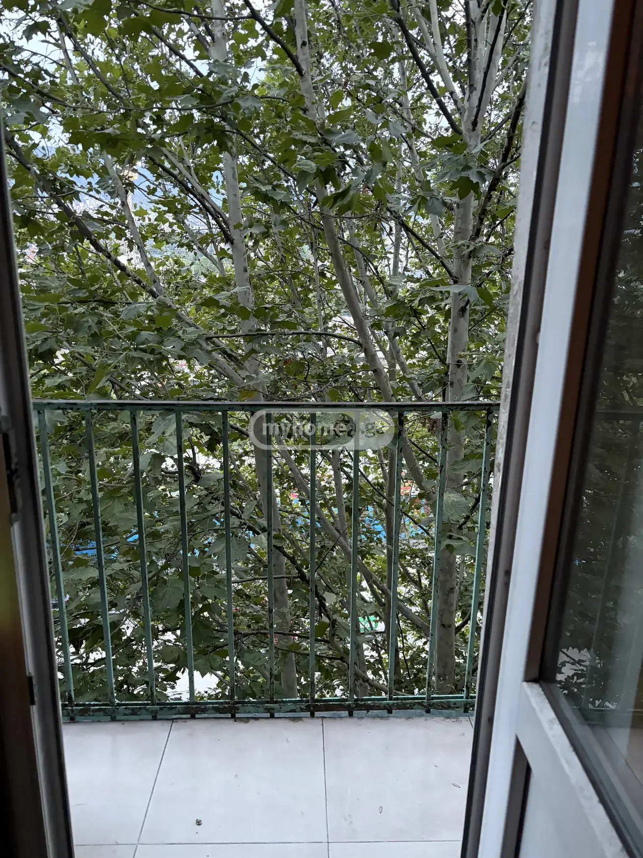 2 Room Apartment For Sale view 5