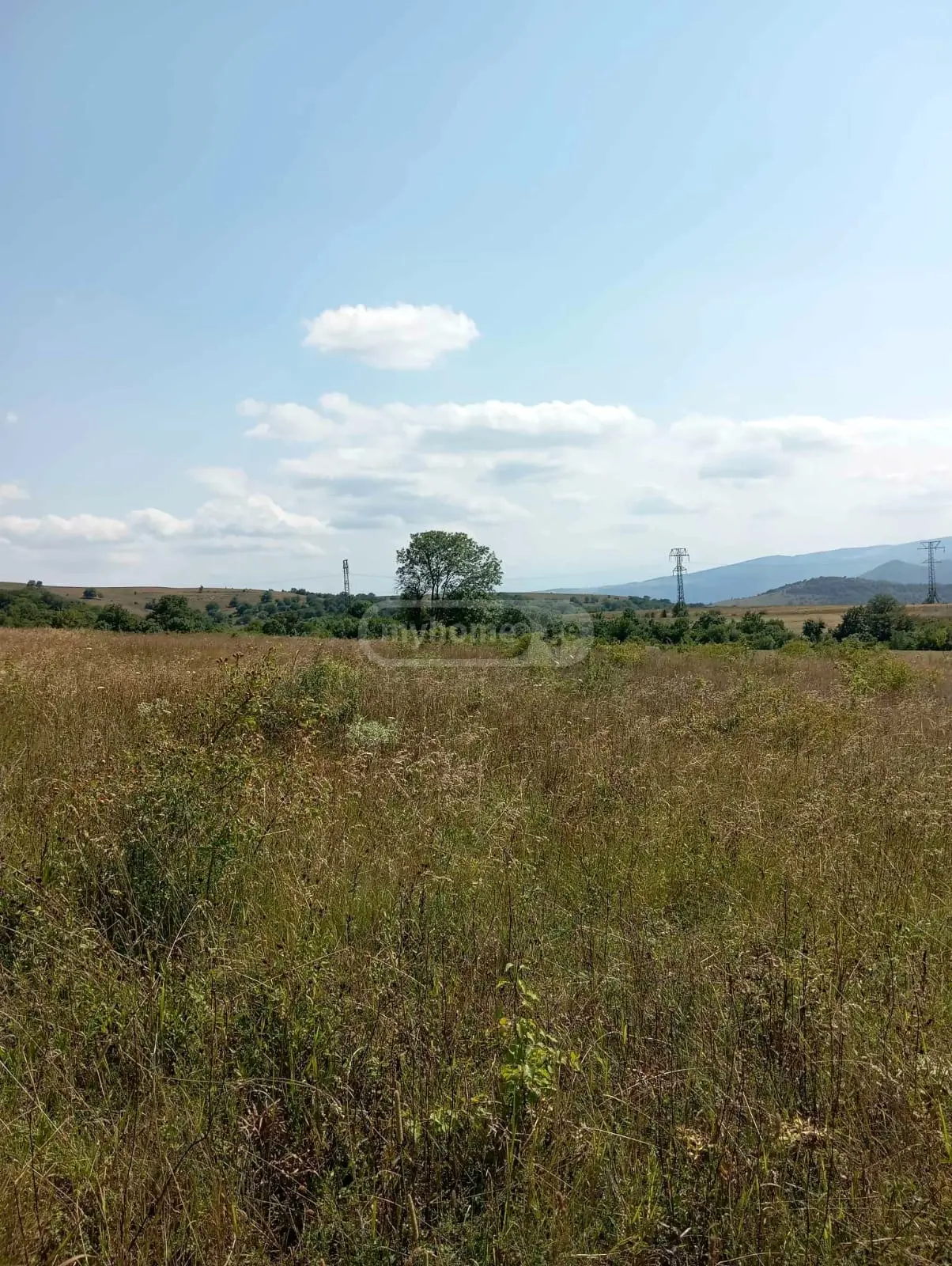 Agricultural Plot For Sale In Orbeti, In Tetritskaro Municipality view 2