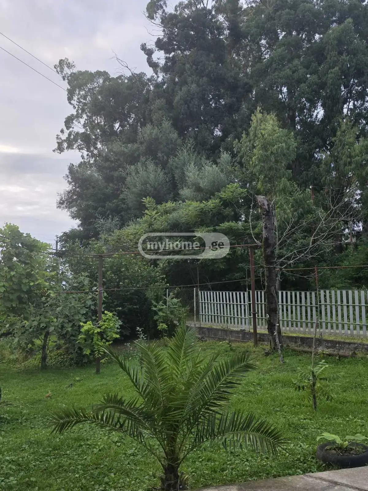 Agricultural Plot For Sale In Batumi view 3