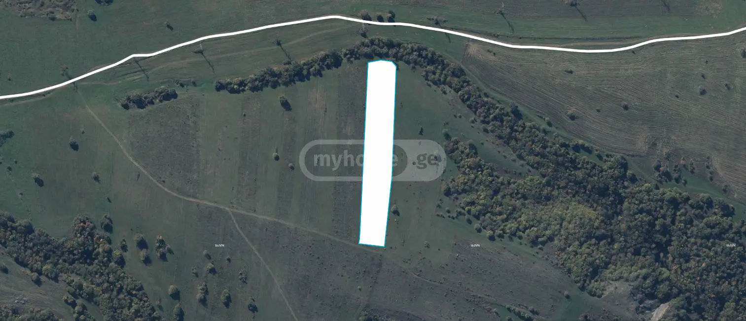 Agricultural Plot For Sale In Orbeti, In Tetritskaro Municipality view 3
