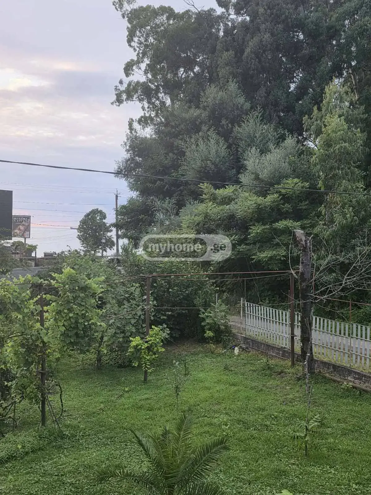 Agricultural Plot For Sale In Batumi view 8