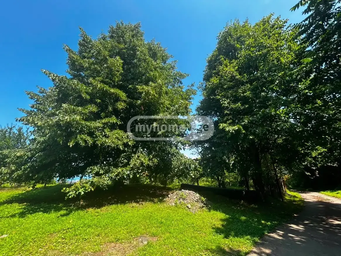 10+ Room Country House For Sale In Kvirike, In Kobuleti Municipality view 14