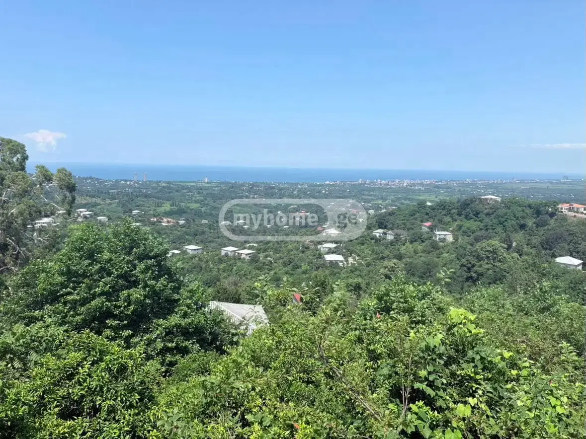 10+ Room Country House For Sale In Kvirike, In Kobuleti Municipality view 4