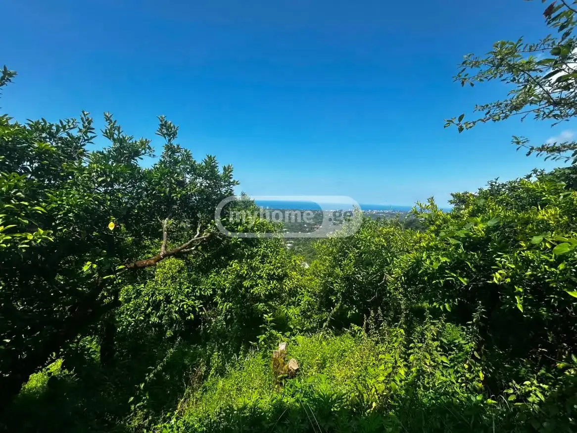 10+ Room Country House For Sale In Kvirike, In Kobuleti Municipality view 8