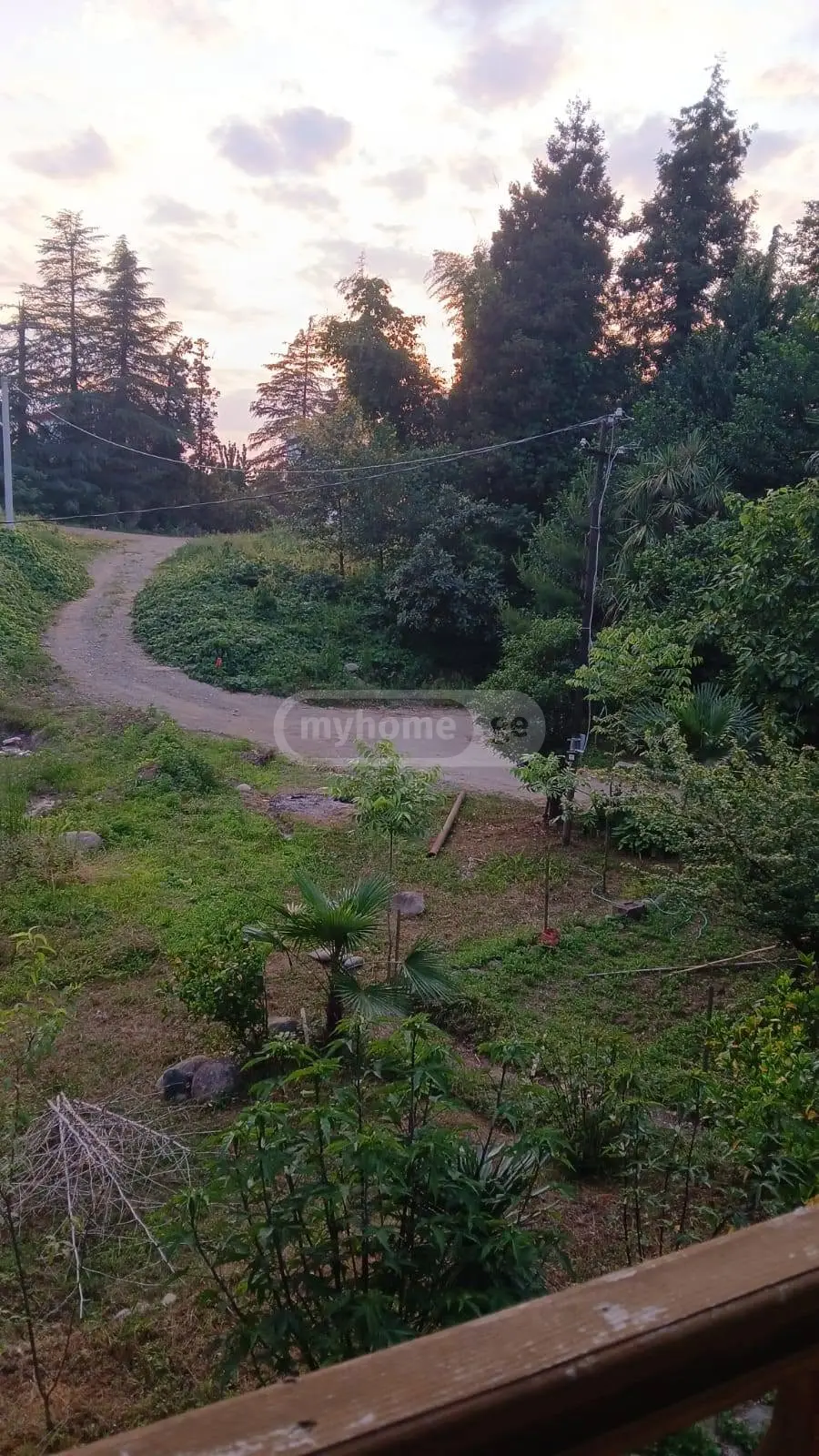 3 Room Private House For Rent In Makhinjauri, In Batumi view 13
