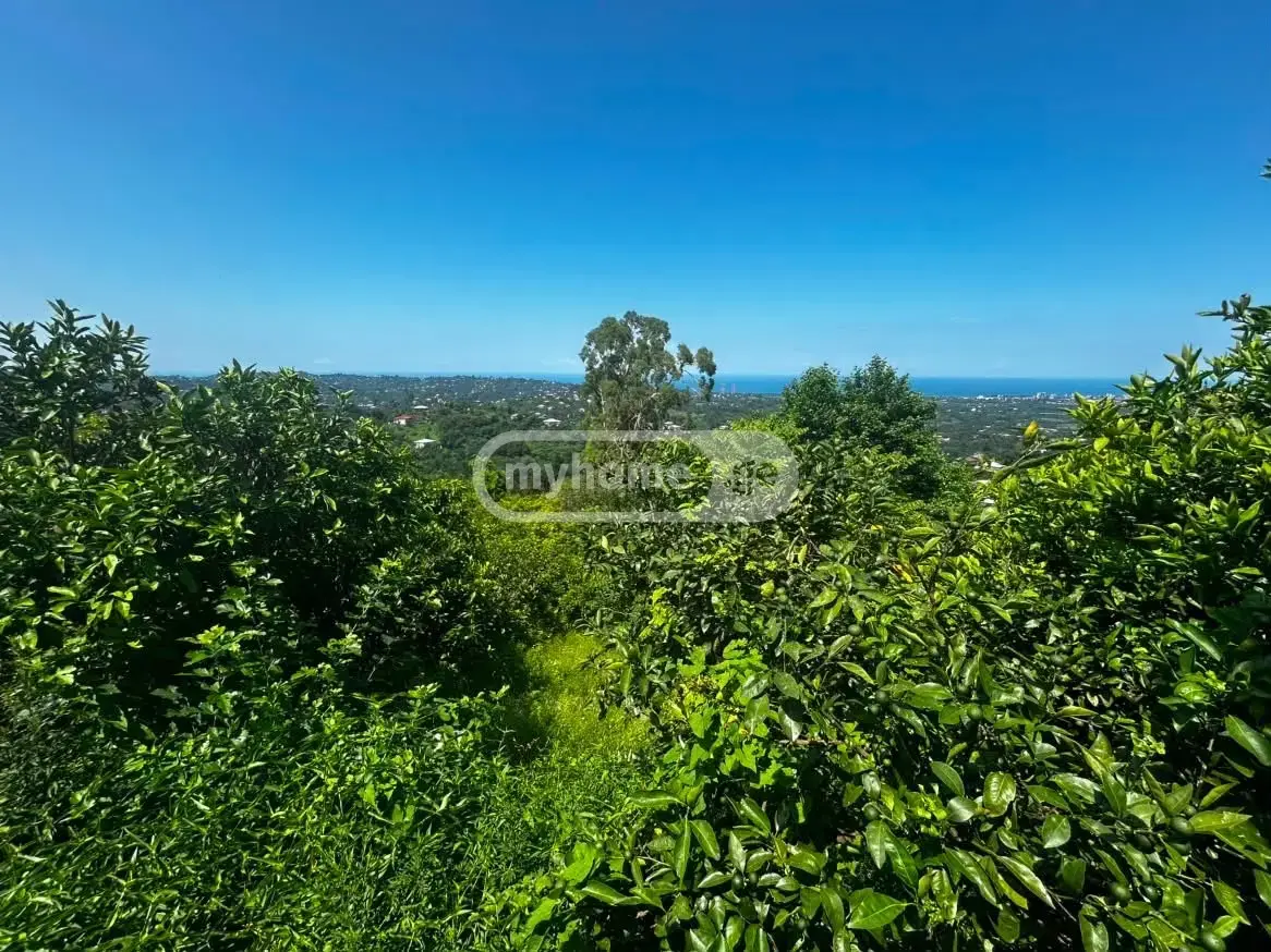 10+ Room Country House For Sale In Kvirike, In Kobuleti Municipality view 7