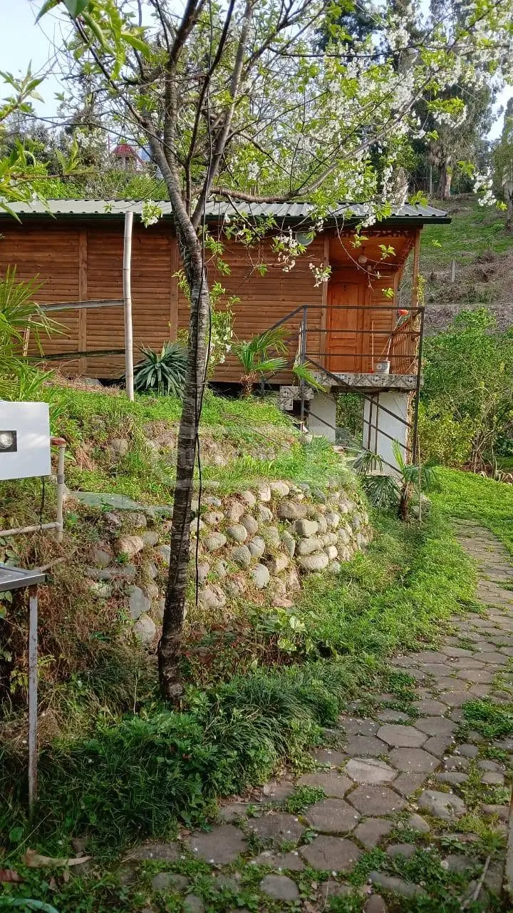 3 Room Private House For Rent In Makhinjauri, In Batumi view 9