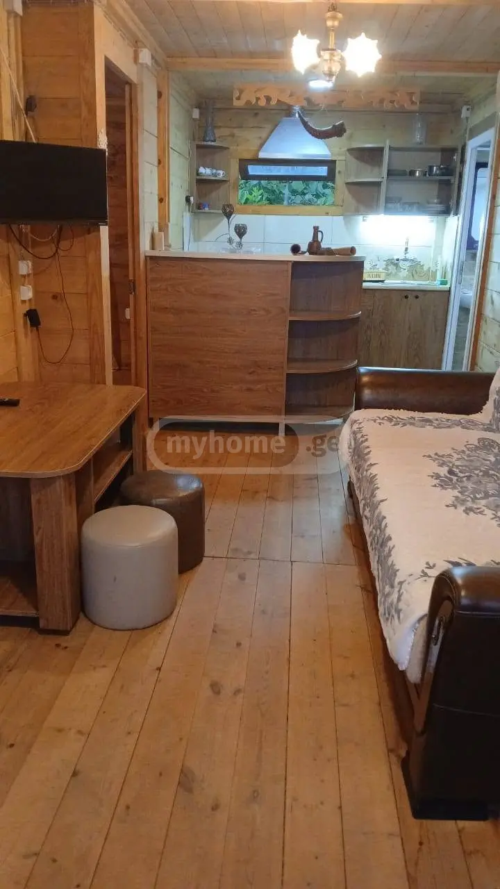 3 Room Private House For Rent In Makhinjauri, In Batumi view 5
