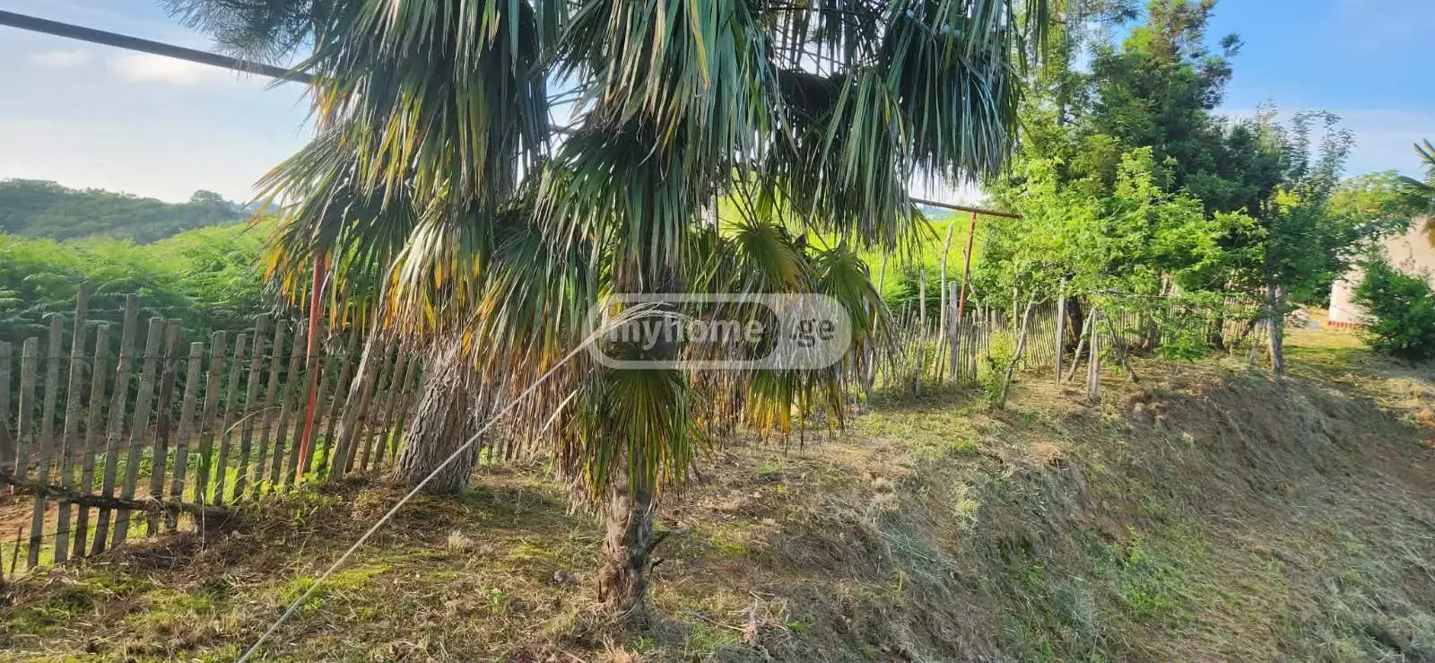 Agricultural Plot For Sale In Chaqvi, In Kobuleti Municipality view 2