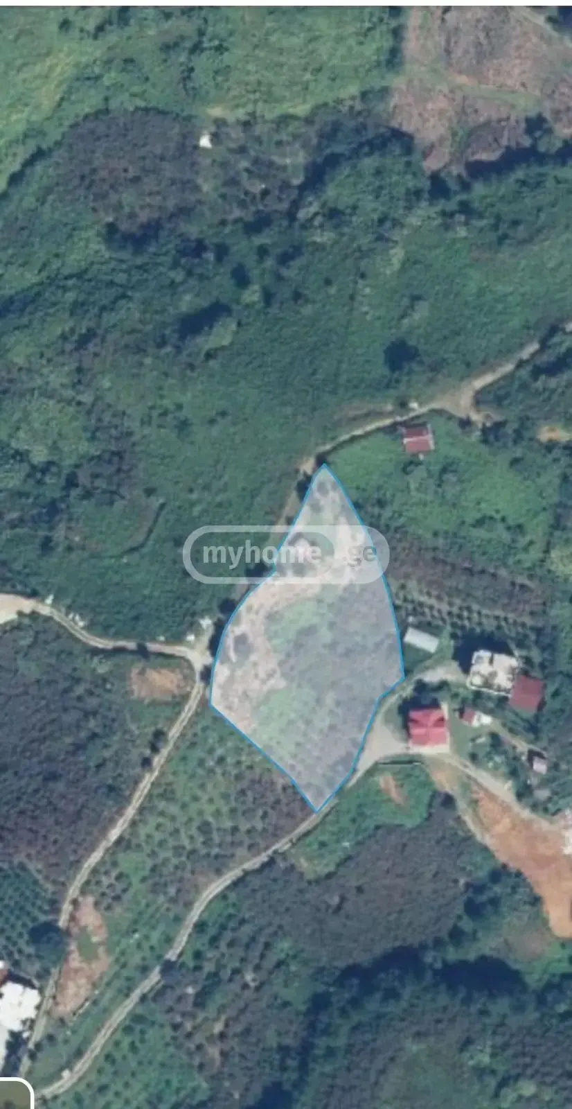 Agricultural Plot For Sale In Chaqvi, In Kobuleti Municipality view 4