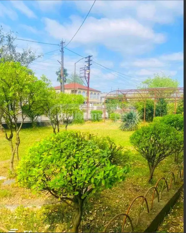 8 Room Private House For Rent In Zugdidi view 5