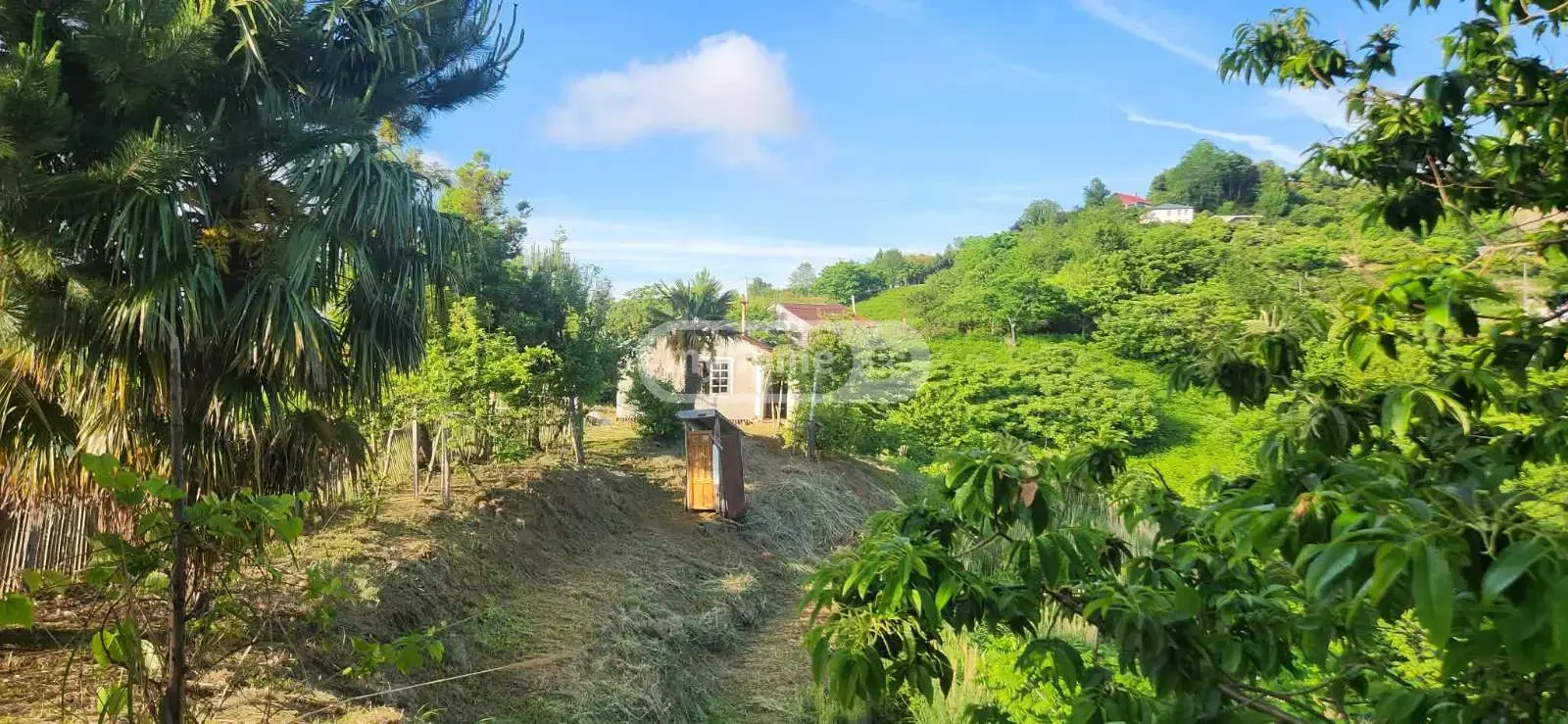 Agricultural Plot For Sale In Chaqvi, In Kobuleti Municipality view 7