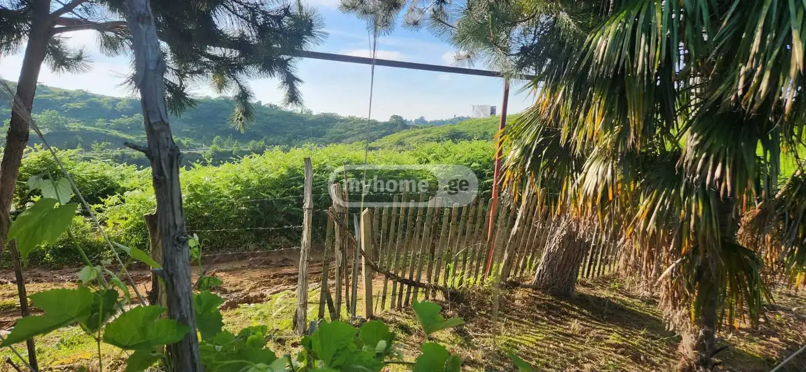 Agricultural Plot For Sale In Chaqvi, In Kobuleti Municipality view 1