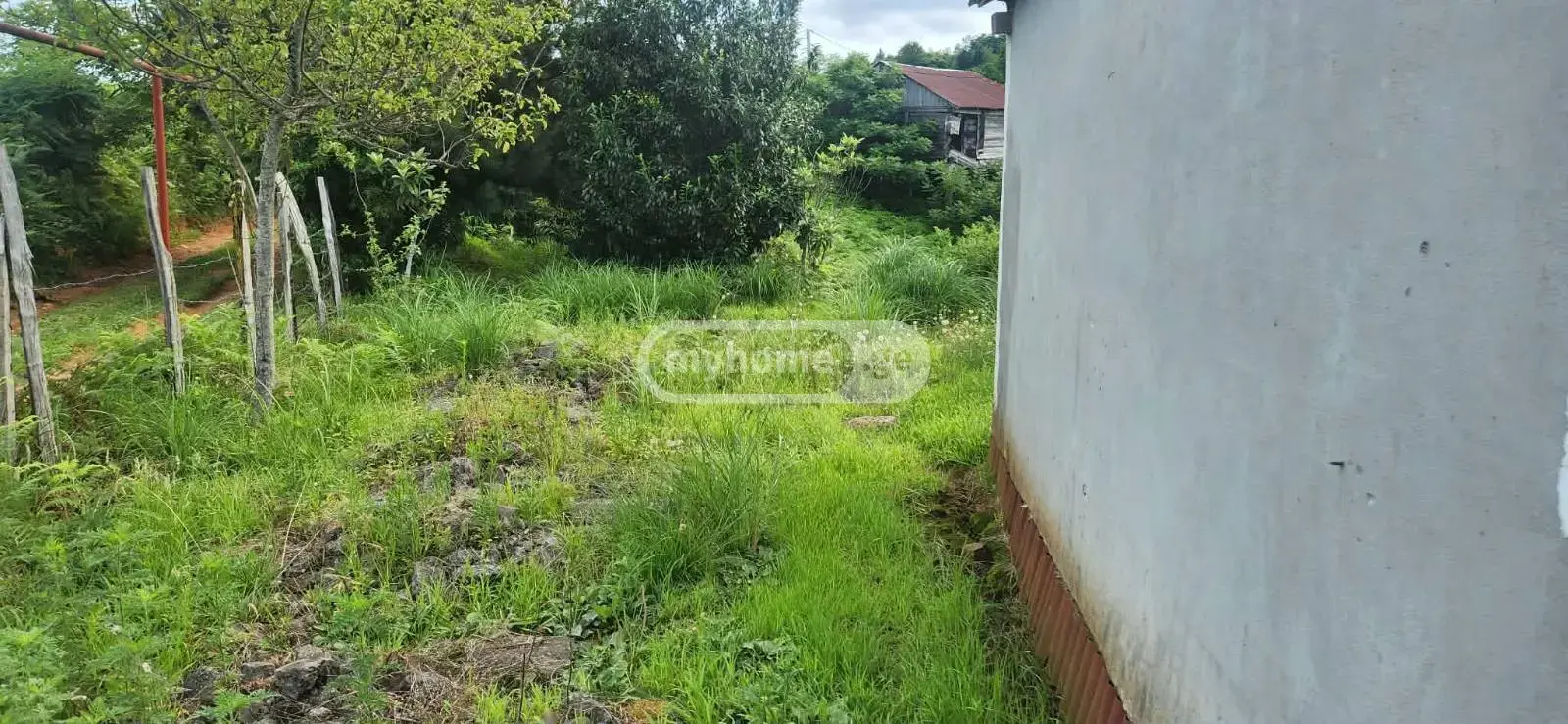 Agricultural Plot For Sale In Chaqvi, In Kobuleti Municipality view 5