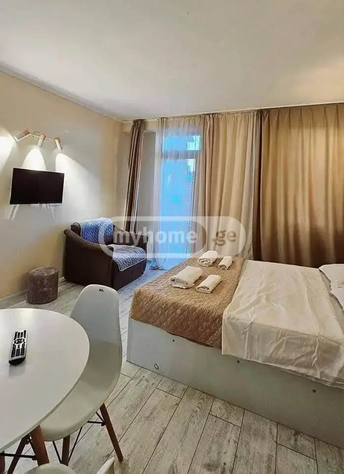 1 Room Apartment For Sale view 4