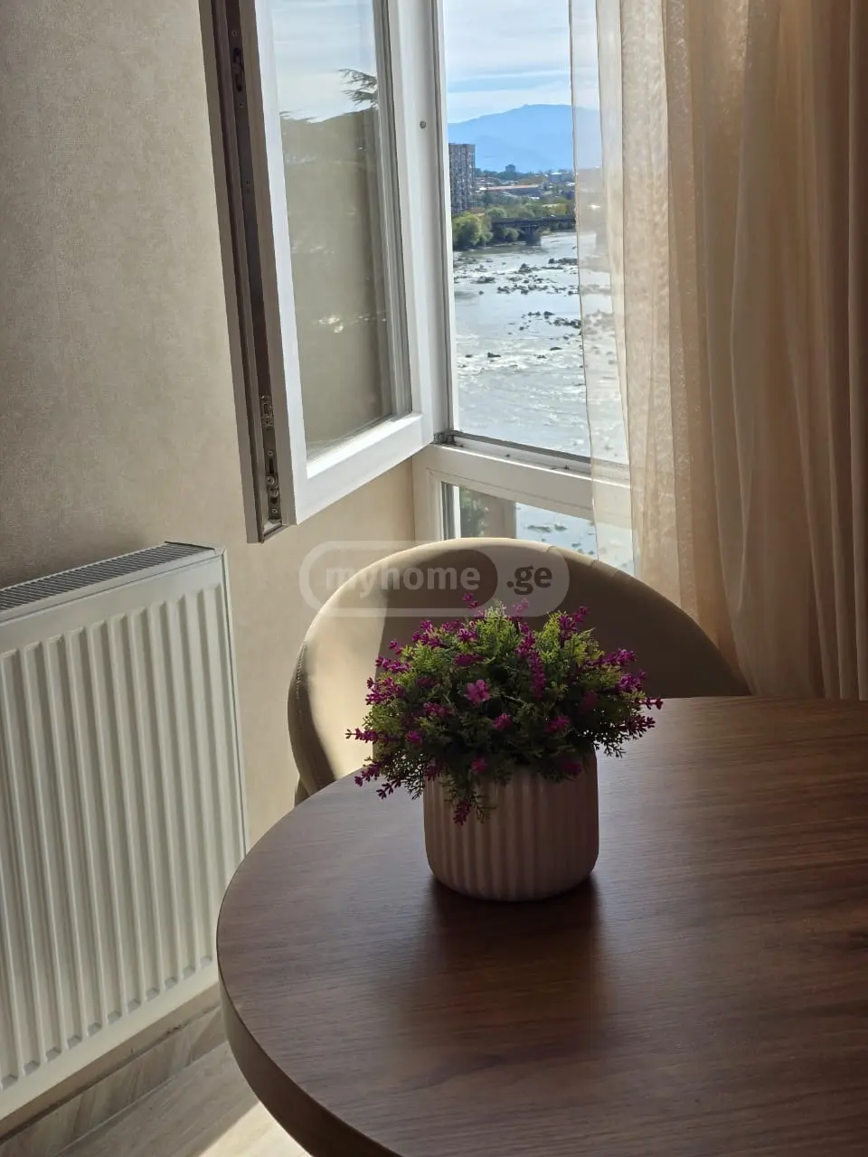 1 Room Apartment Daily Rent Mepetubani, In Qutaisi view 7