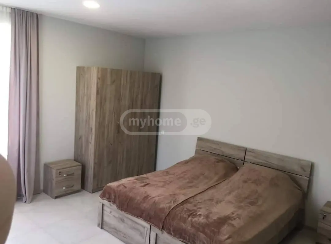 3 Room Country House Daily Rent In Manglisi view 7