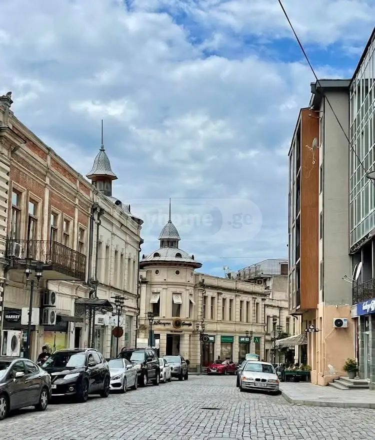 1 Room Apartment Daily Rent Mepetubani, In Qutaisi view 6