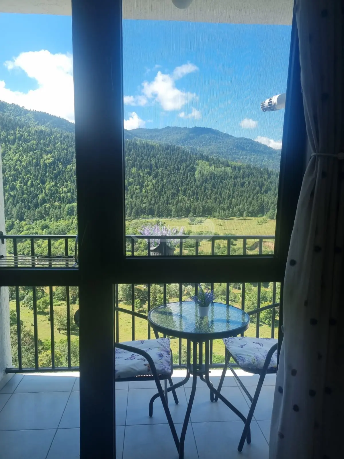 1 Room Flat Daily Rent. Borjomi view 16
