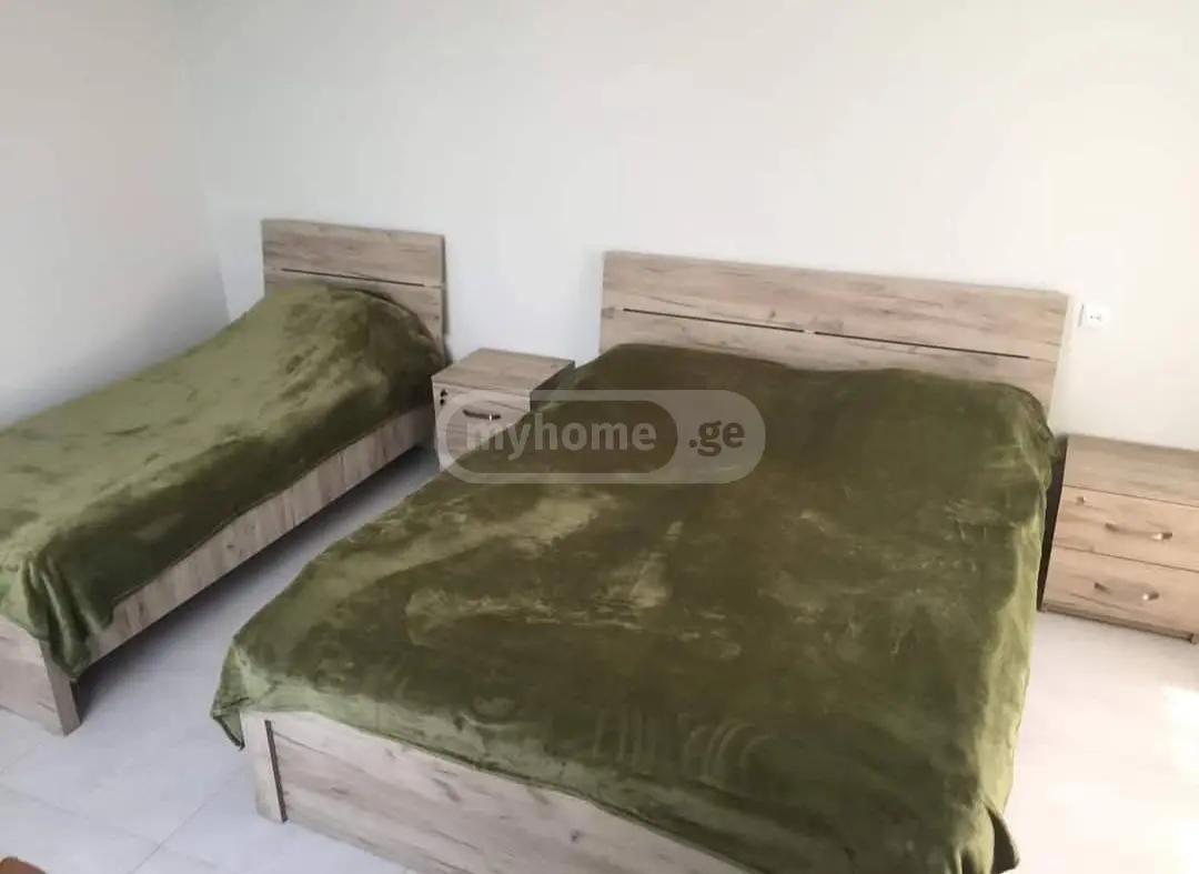 3 Room Country House Daily Rent In Manglisi view 9