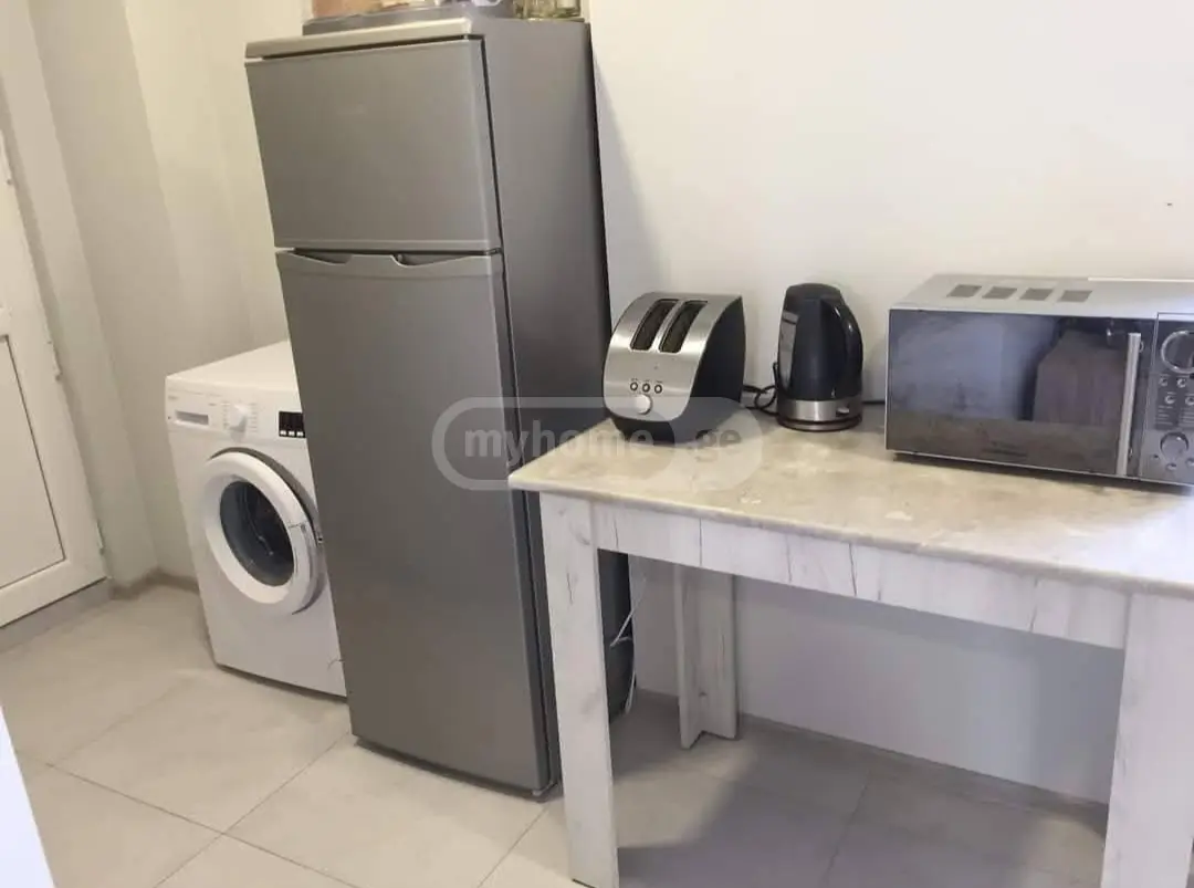 3 Room Country House Daily Rent In Manglisi view 10