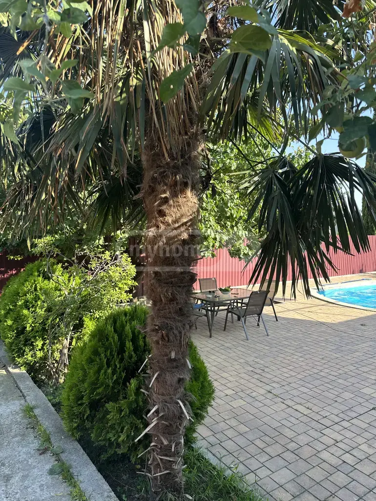 3 Room Private House For Rent In Martkopi, In Gardabani Municipality view 8