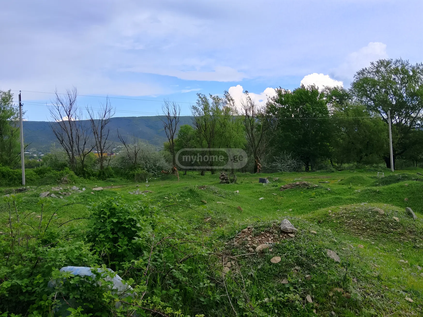 იყიდება Agricultural Plot In Tsilkani, In Mtskheta Municipalityში view 1