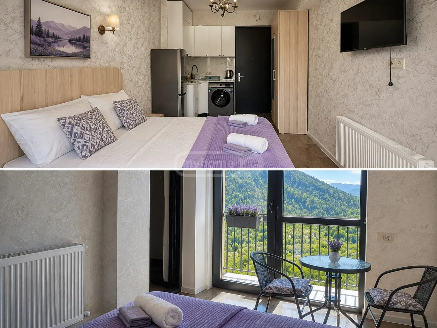 1 Room Flat Daily Rent. Borjomi view 21