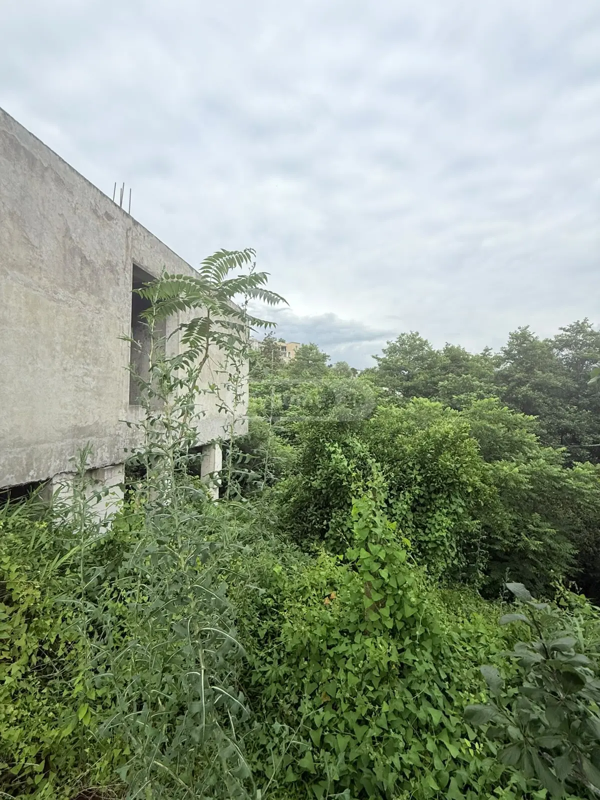 4 Room Private House For Sale view 12