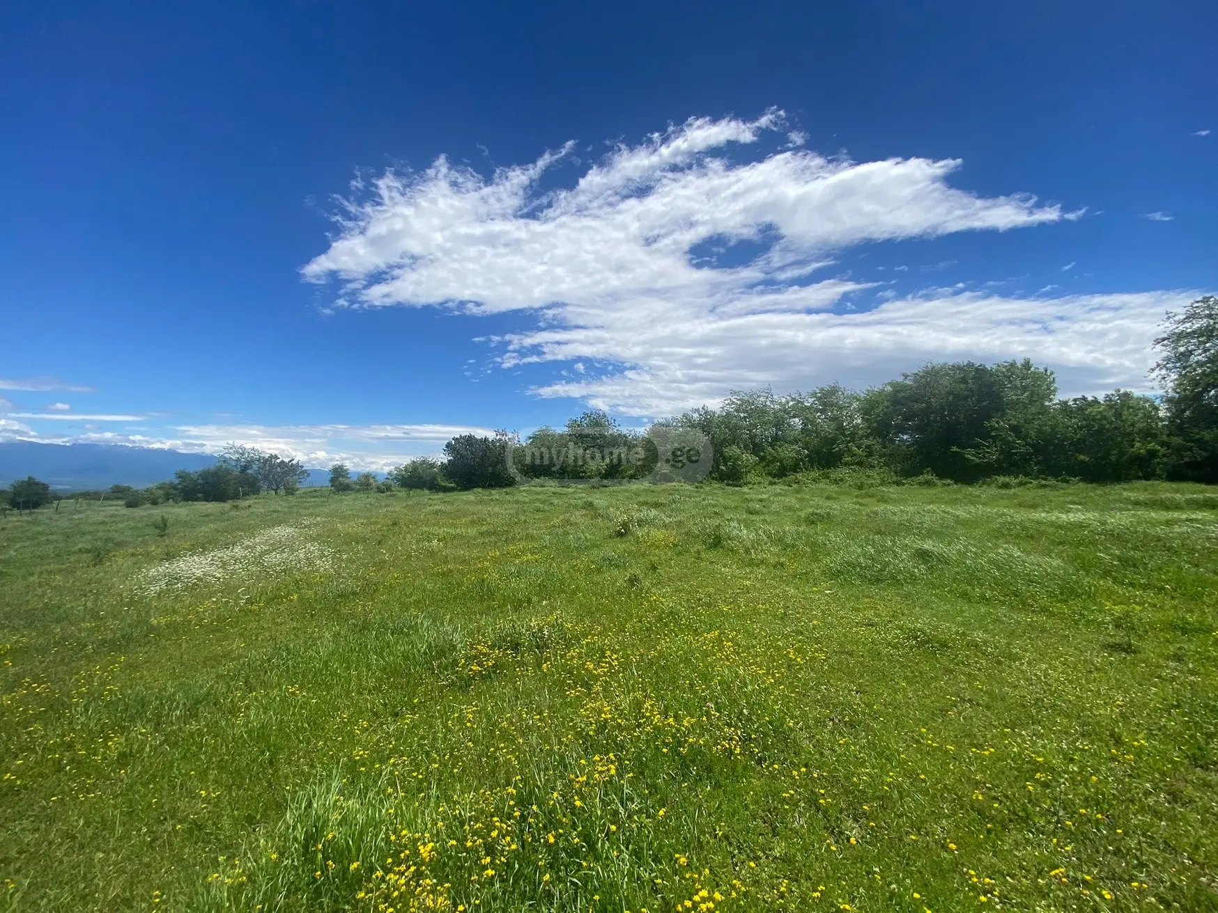 იყიდება Non-Agricultural Plot In Vardisubani, In Telavi Municipalityში view 3