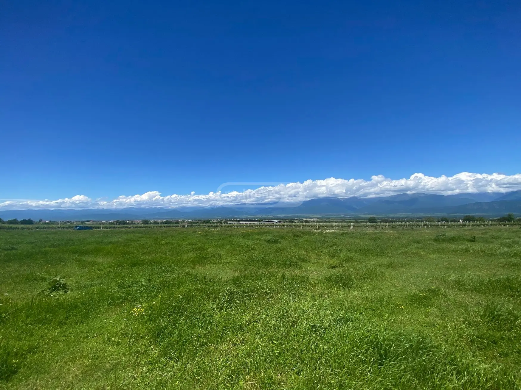 Agricultural Plot For Sale In Vardisubani, In Telavi Municipality view 2