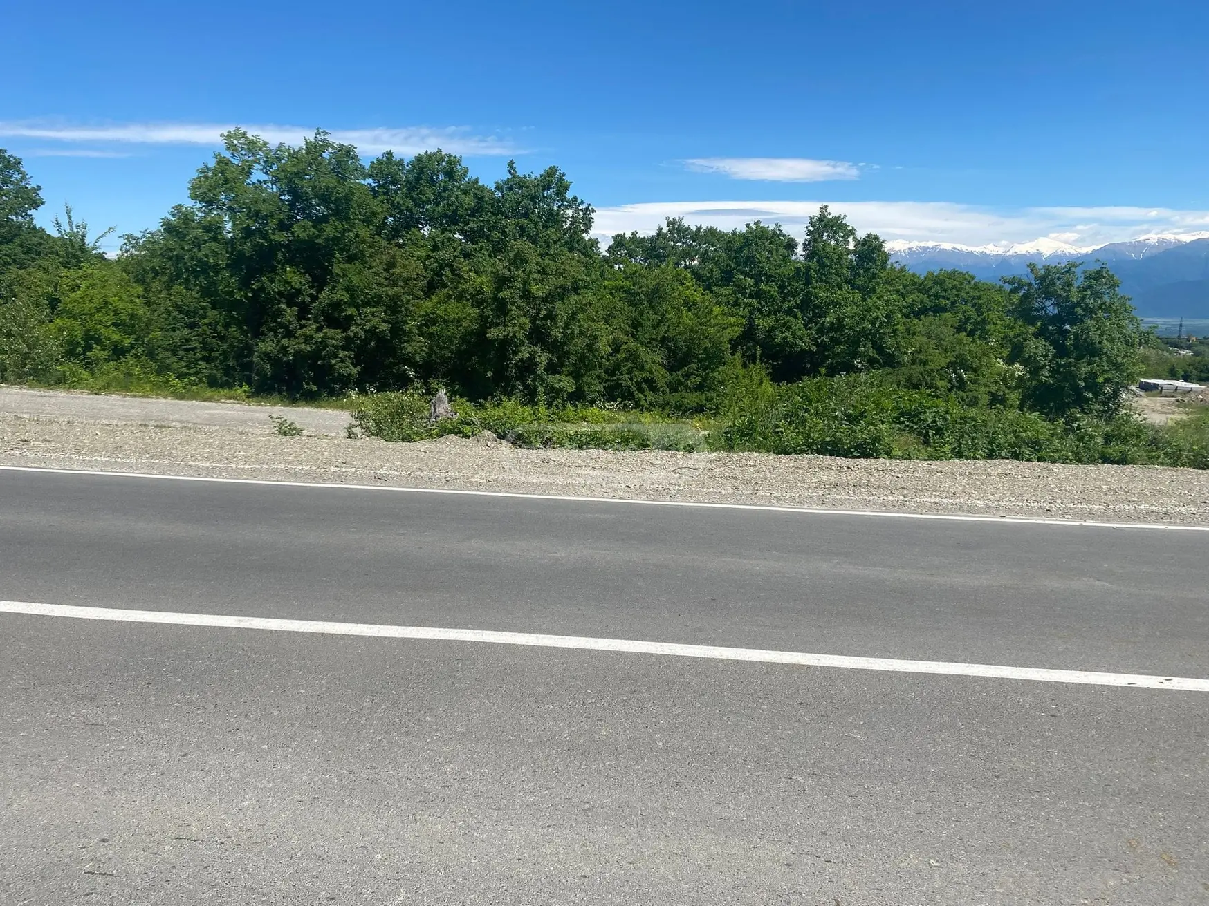 Agricultural Plot For Sale In Vardisubani, In Telavi Municipality view 1