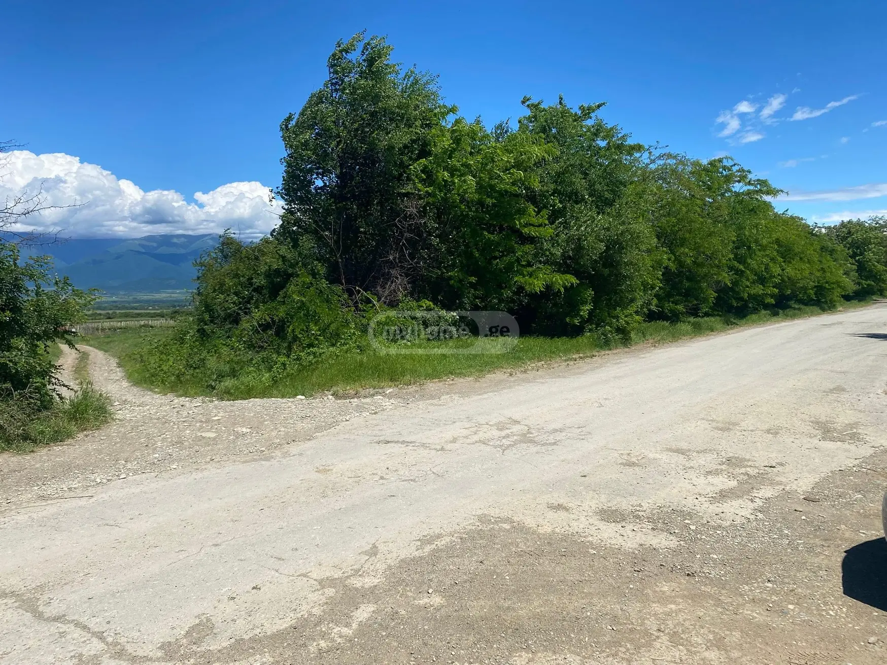 იყიდება Non-Agricultural Plot In Vardisubani, In Telavi Municipalityში view 2