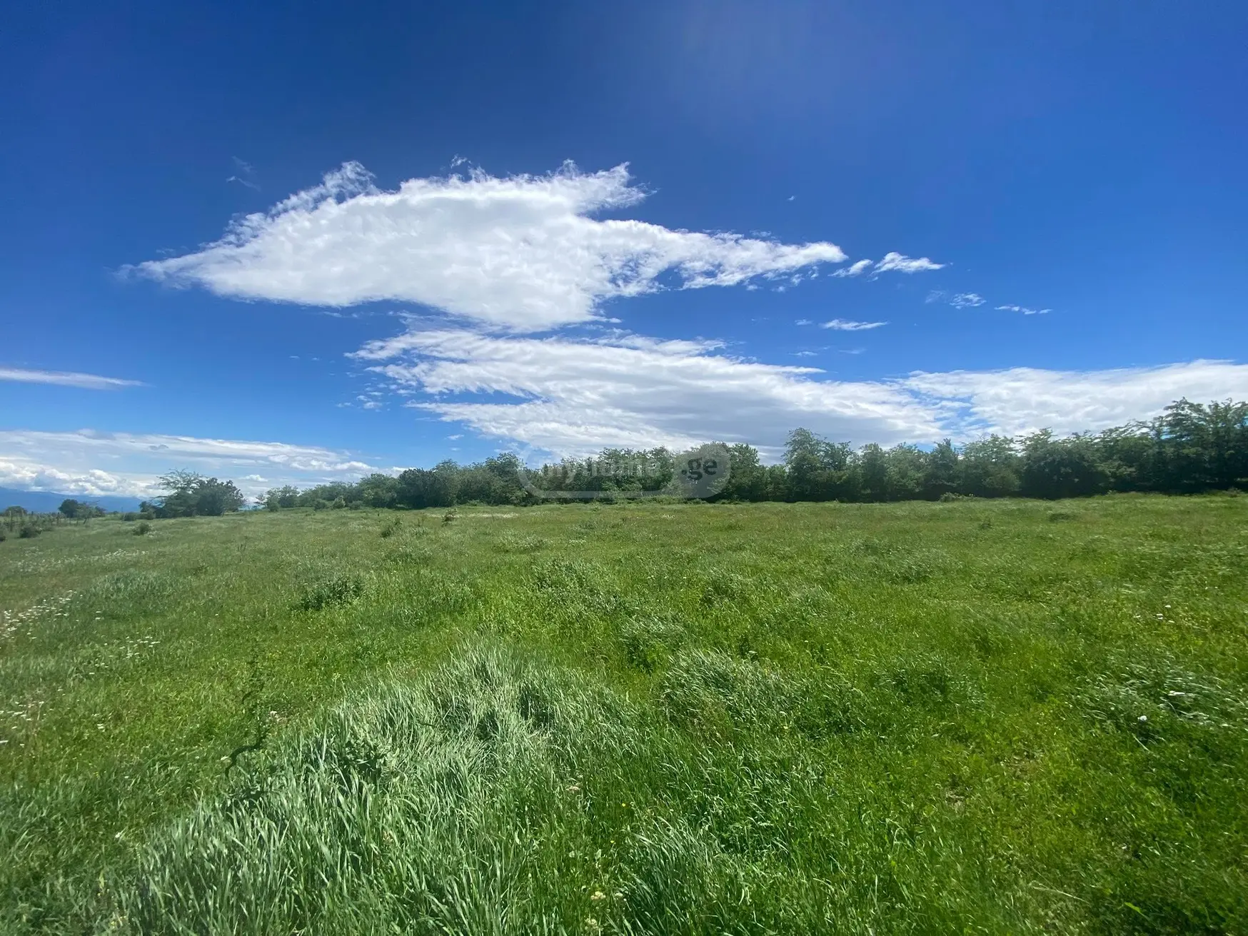 Agricultural Plot For Sale In Vardisubani, In Telavi Municipality view 3
