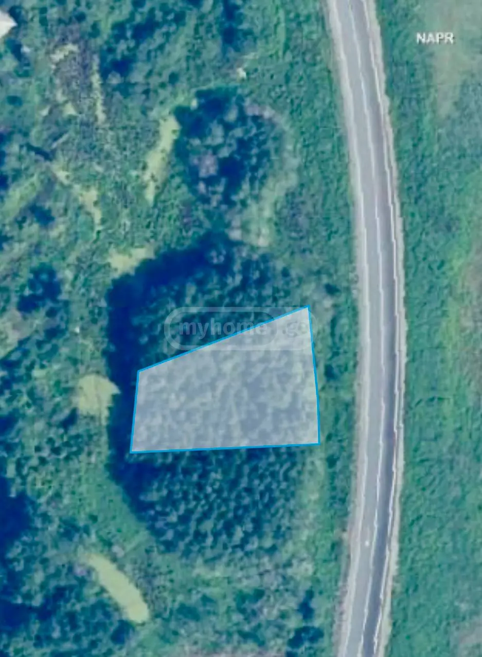 Agricultural Plot For Sale In Tskaltsminda, In Lanchkhuti Municipality view 3