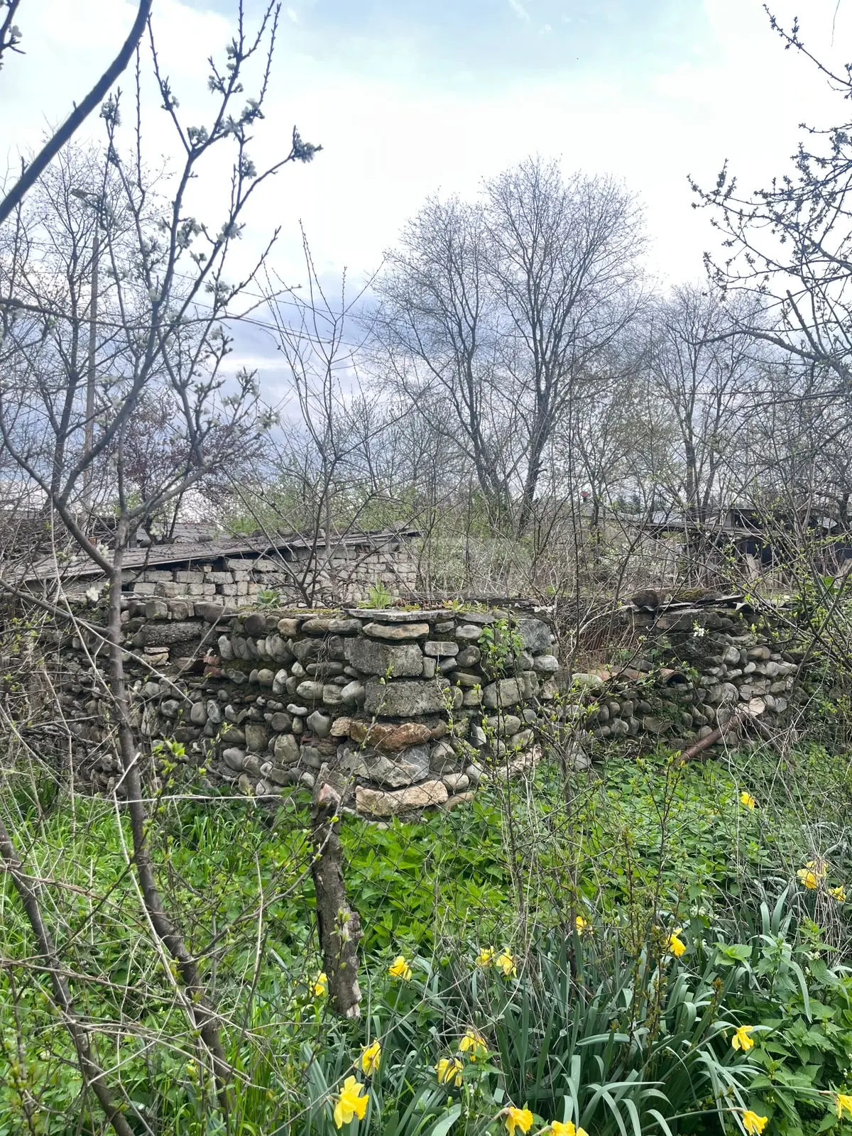 Agricultural Plot For Sale In Telavi view 1