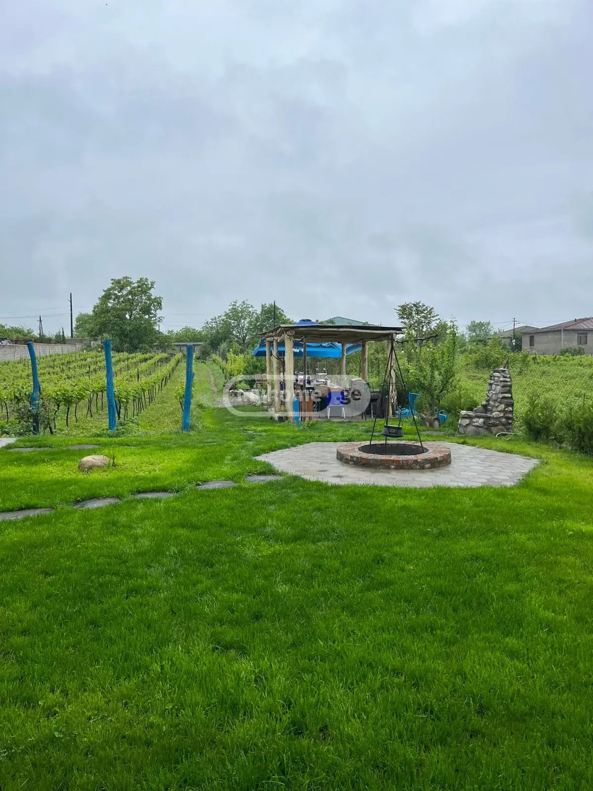 6 Room Country House Daily Rent In Telavi view 5
