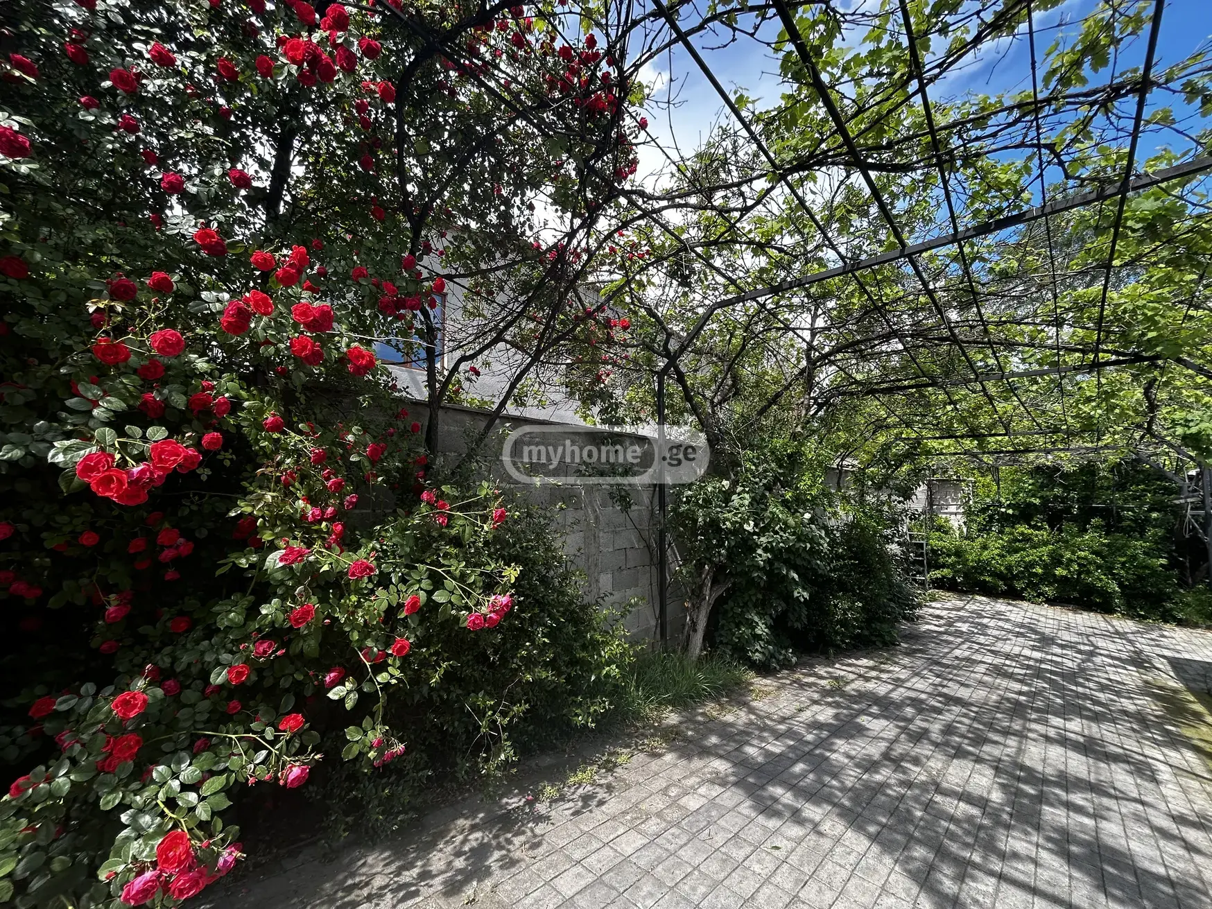 6 Room Country House Daily Rent In Varketili view 2