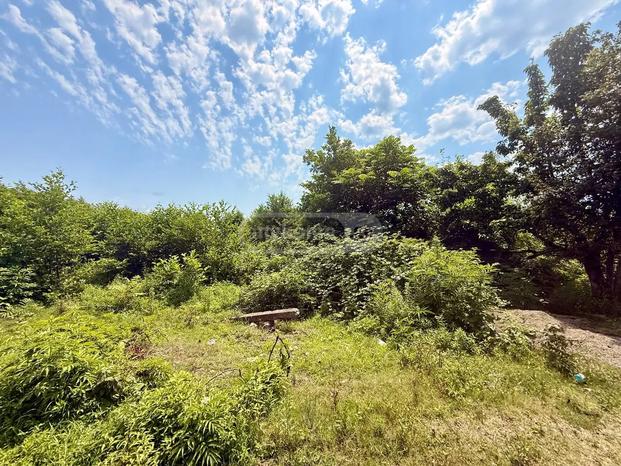 Agricultural Plot For Sale In Tskaltsminda, In Lanchkhuti Municipality view 2