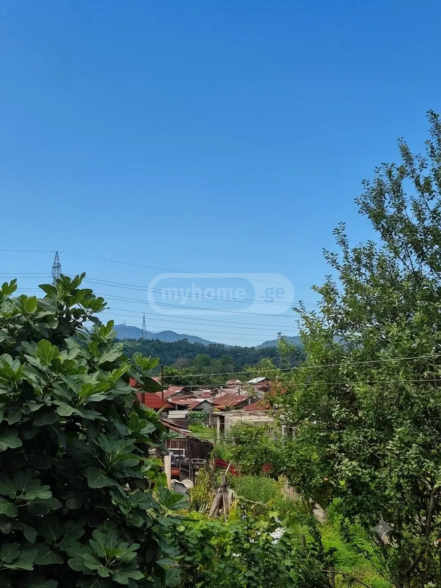 5 Room Private House For Rent In Batumi view 15