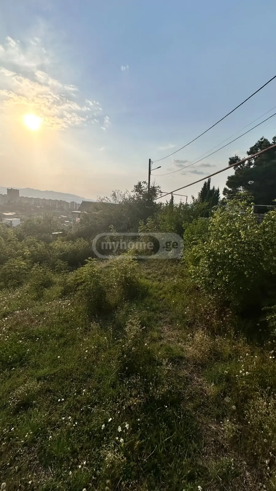 Agricultural Plot For Sale In Mukhiani view 3